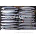 Frozen mackerel with suitable price